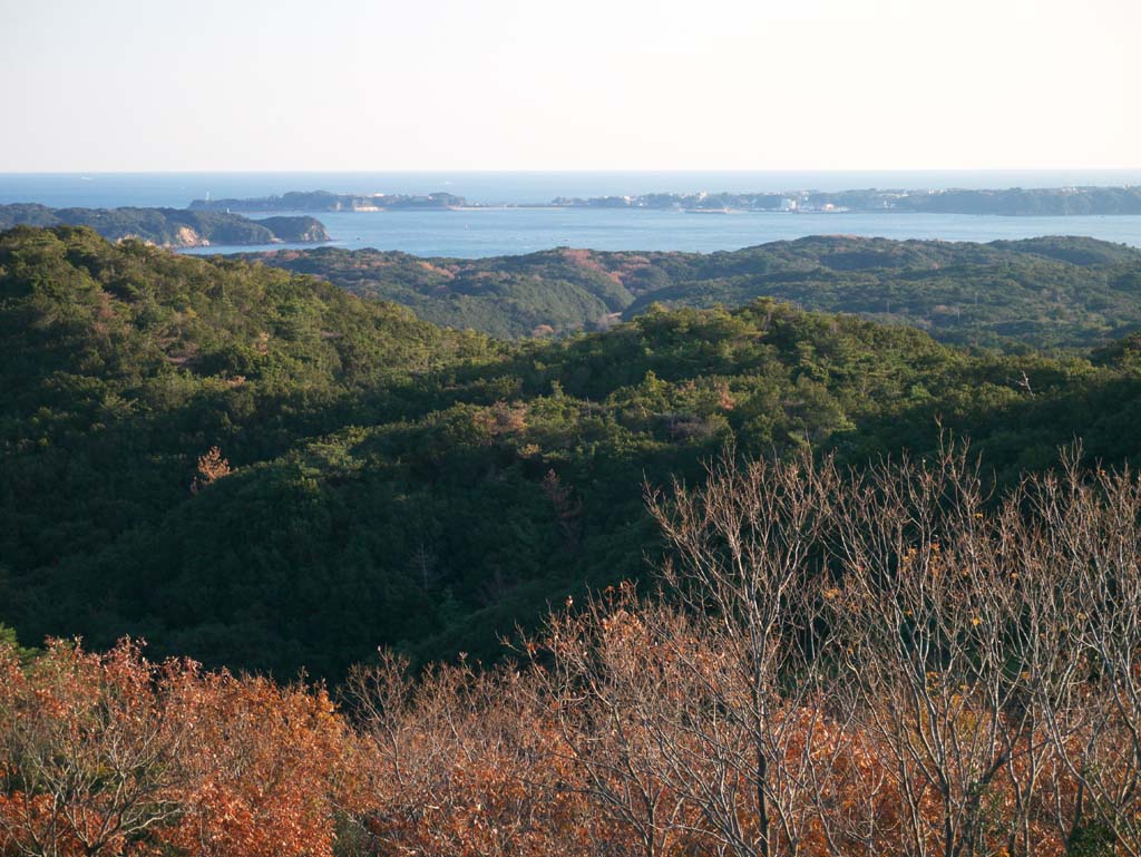 fotografia, materiale, libero il panorama, dipinga, fotografia di scorta,Baia Matoya, , , , 