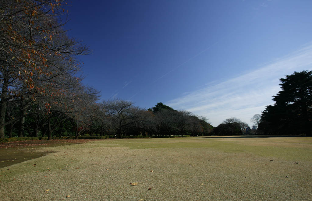 Foto, materieel, vrij, landschap, schilderstuk, bevoorraden foto,Grasveld plein, Ht gemaald, Grasveld, Gevallene verloven, Blauwe lucht