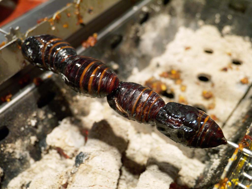 foto,tela,gratis,paisaje,fotografa,idea,Silkworm pupa, , , , 