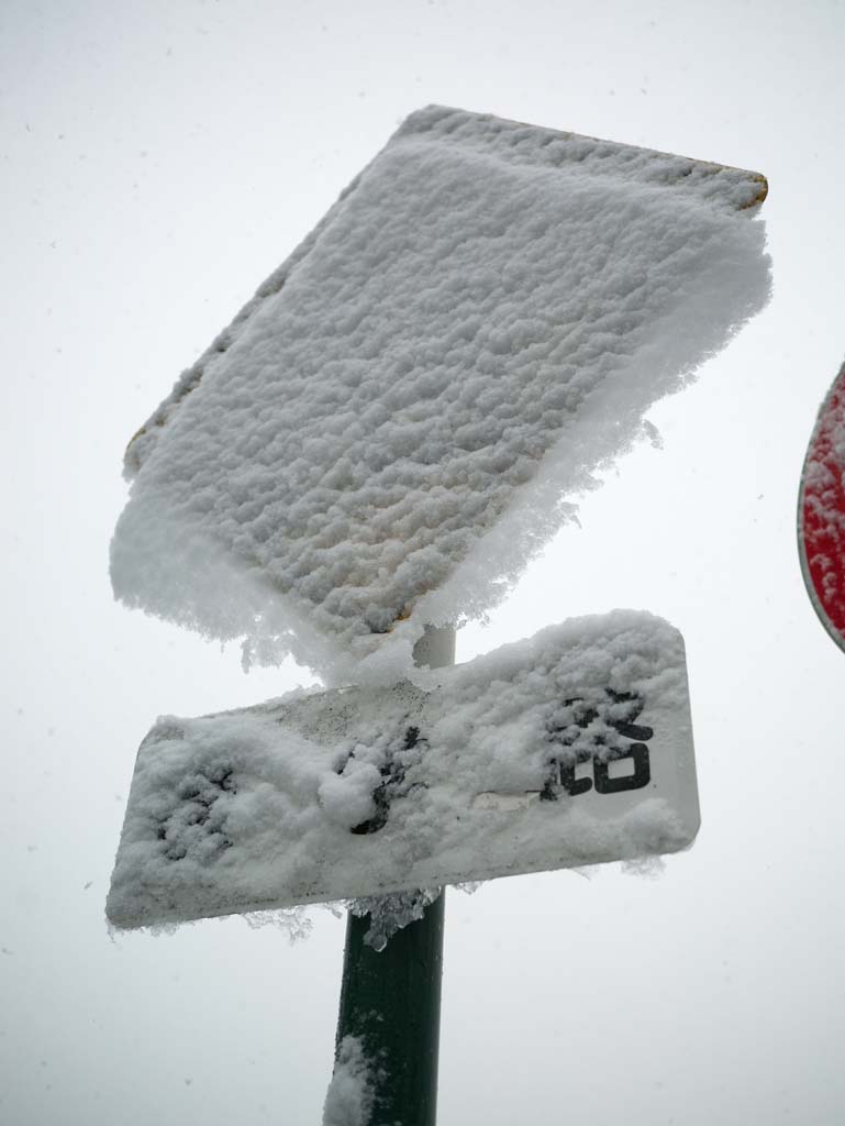 photo,material,free,landscape,picture,stock photo,Creative Commons,The Snow Signage, , , , 