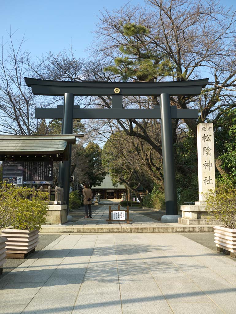 fotografia, materiale, libero il panorama, dipinga, fotografia di scorta,Shoin jinja-Santuario, , , , 