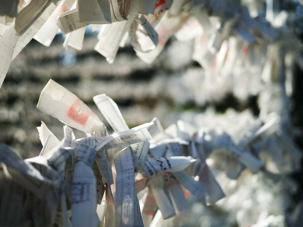 photo,material,free,landscape,picture,stock photo,Creative Commons,May Shoin-jinja shrine lottery, , , , 