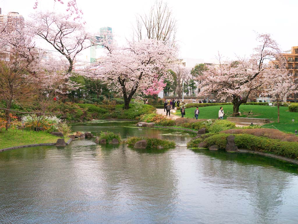 Foto, materieel, vrij, landschap, schilderstuk, bevoorraden foto,Roppongi Hills Gardens, , , , 