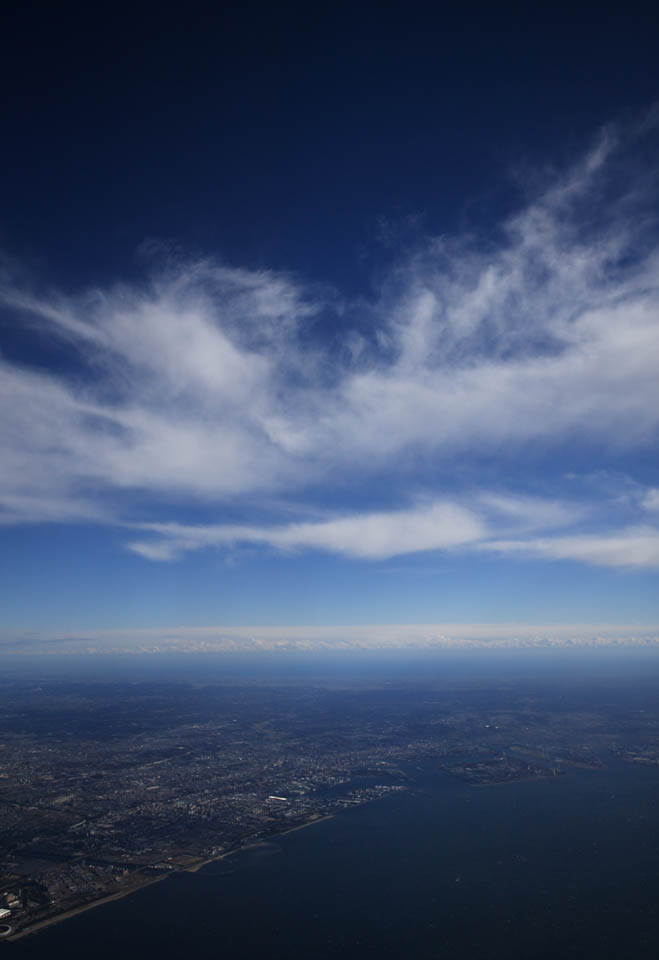fotografia, materiale, libero il panorama, dipinga, fotografia di scorta,Una pianta di indaco naturale della stratosfera, nube, cielo blu, Chiba, pianta di indaco naturale