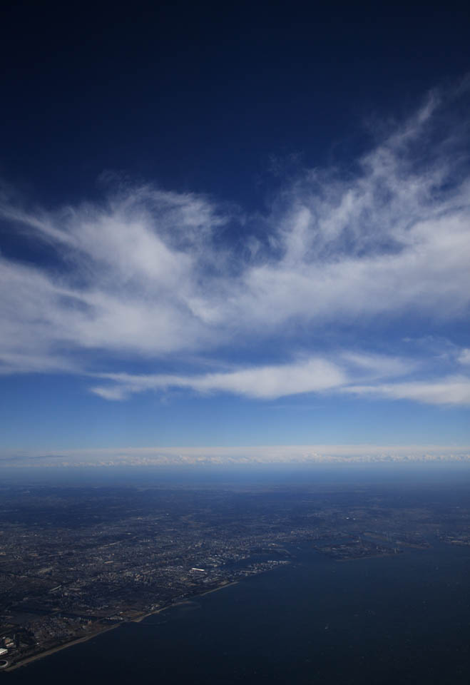 Foto, materiell, befreit, Landschaft, Bild, hat Foto auf Lager,Eine Indigopflanze der Stratosphre, Wolke, blauer Himmel, Chiba, Indigopflanze