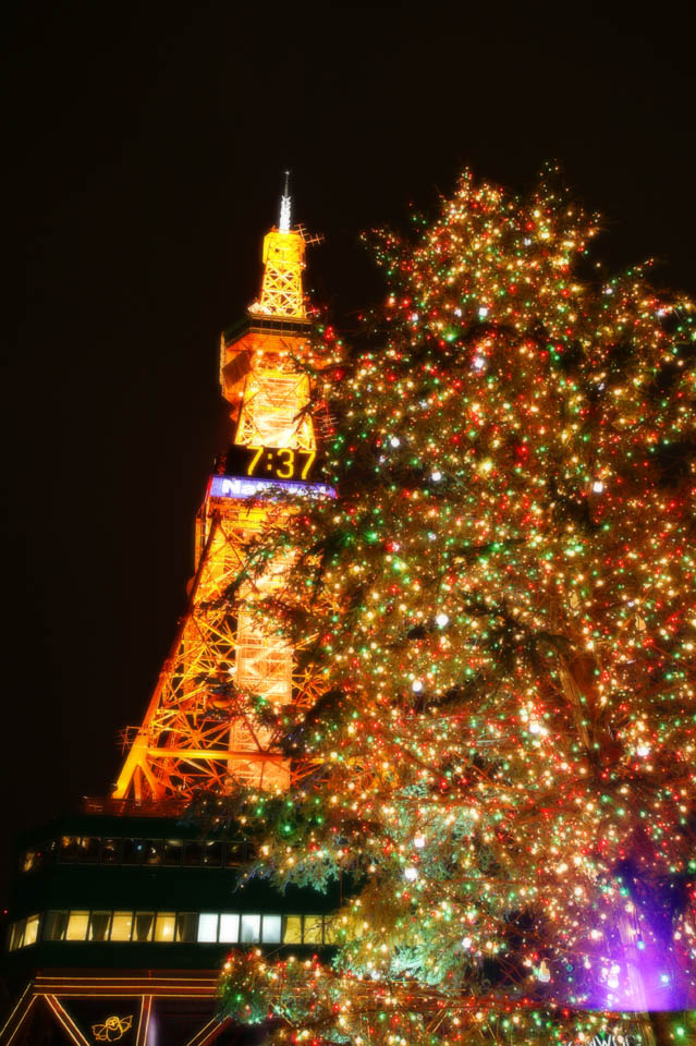 photo, la matire, libre, amnage, dcrivez, photo de la rserve,Un sapin de Nol et une tour, ciel de la nuit, X'mas, Illumination, tour