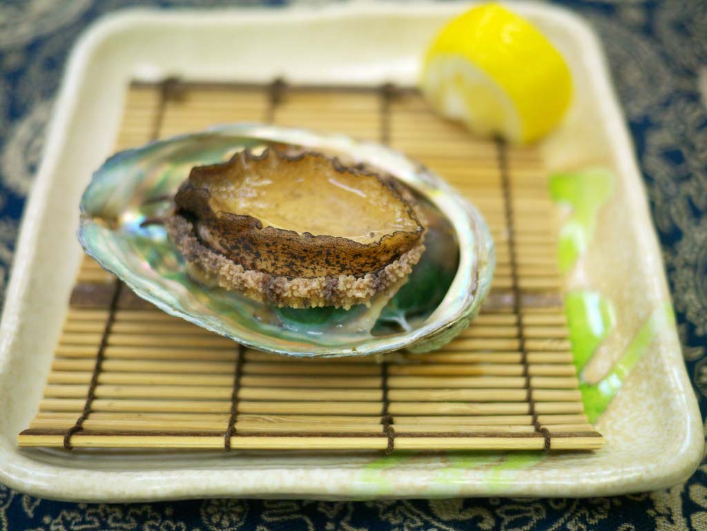 ,,, ,,,  abalone, , , , 