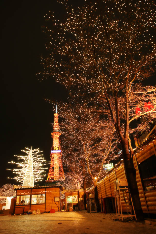 photo,material,free,landscape,picture,stock photo,Creative Commons,The night of a main street park, night sky, light, Illumination, tower