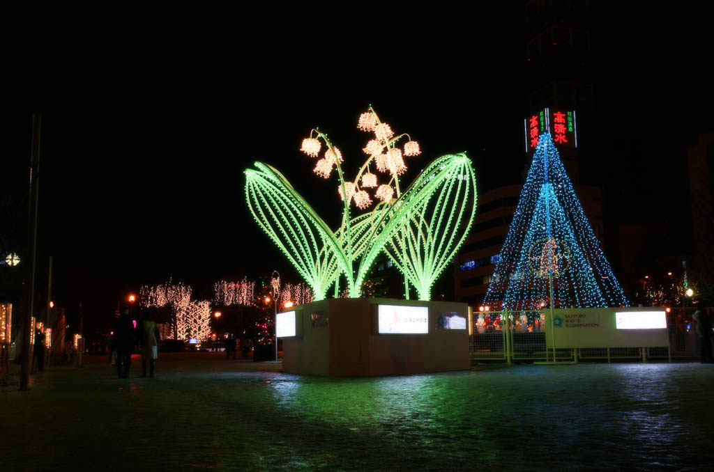 fotografia, materiale, libero il panorama, dipinga, fotografia di scorta,Oggetto di arte di luminarie, cielo serale, luce, Illuminazione, giglio della valle