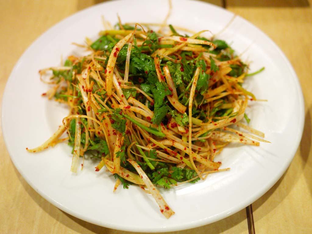 photo,material,free,landscape,picture,stock photo,Creative Commons,Welsh onion cilantro salad, , , , 