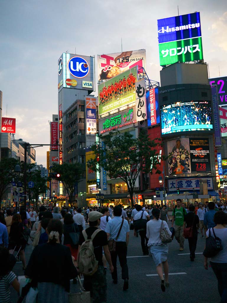 fotografia, materiale, libero il panorama, dipinga, fotografia di scorta,Shibuya, , , , 