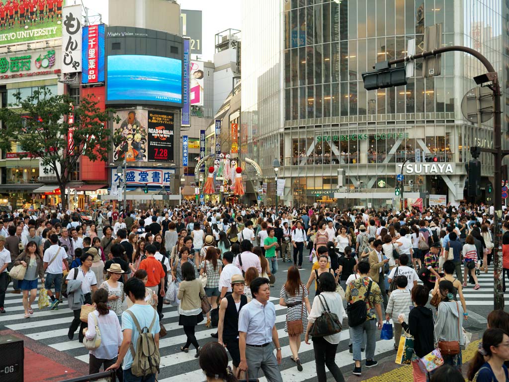 photo,material,free,landscape,picture,stock photo,Creative Commons,Shibuya Intersection, , , , 