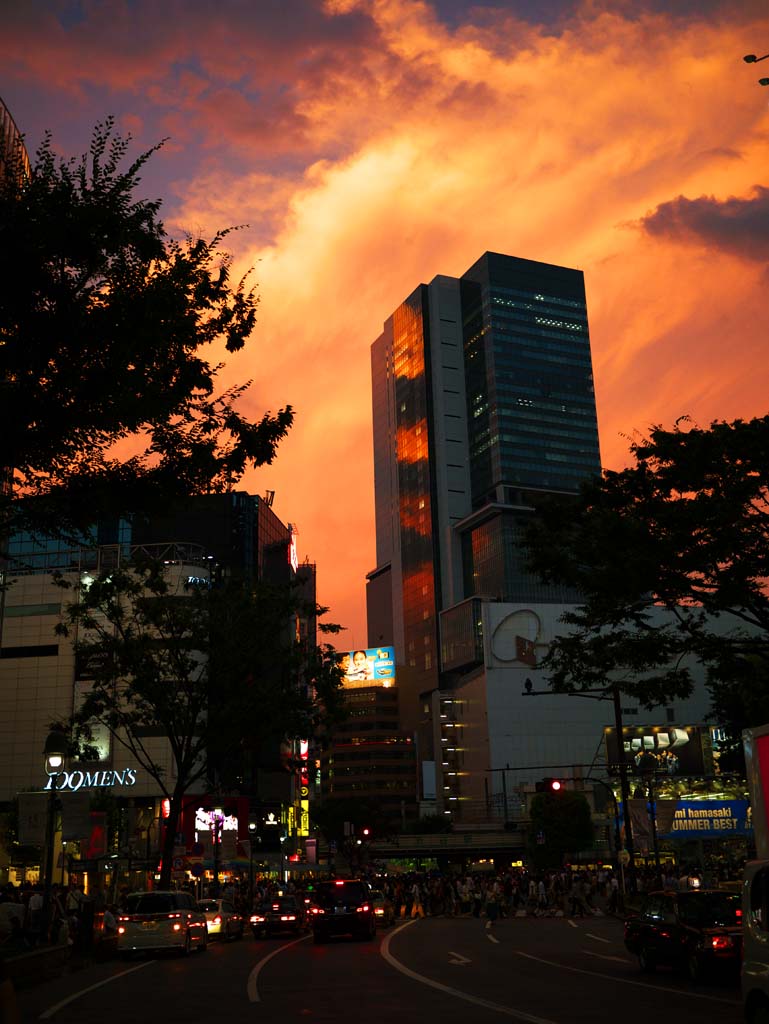 fotografia, materiale, libero il panorama, dipinga, fotografia di scorta,Un tramonto incandescente Shibuya, , , , 