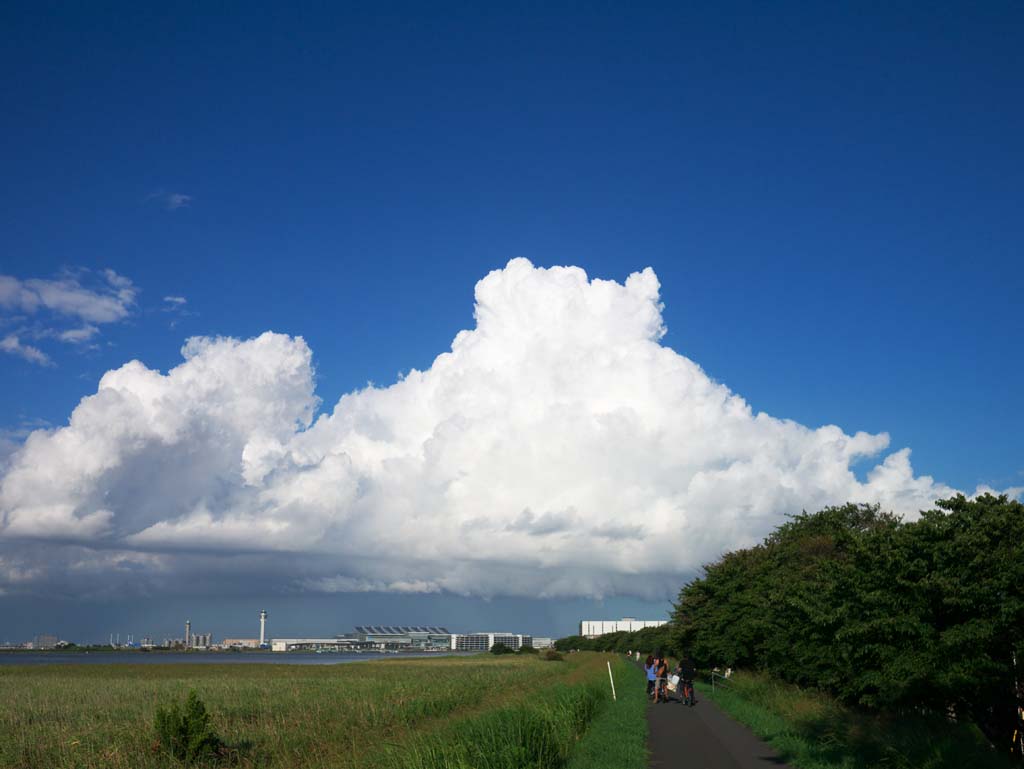 Foto, materieel, vrij, landschap, schilderstuk, bevoorraden foto,Guerrilla regen, , , , 