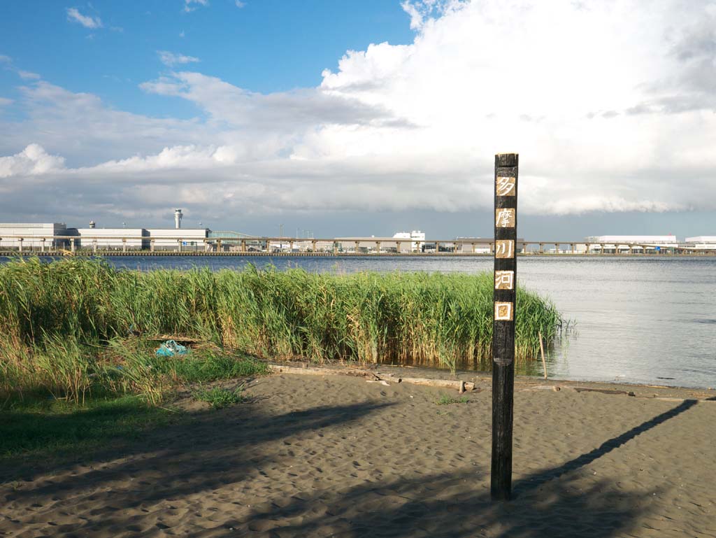 fotografia, materiale, libero il panorama, dipinga, fotografia di scorta,Tama estuario del fiume, , , , 