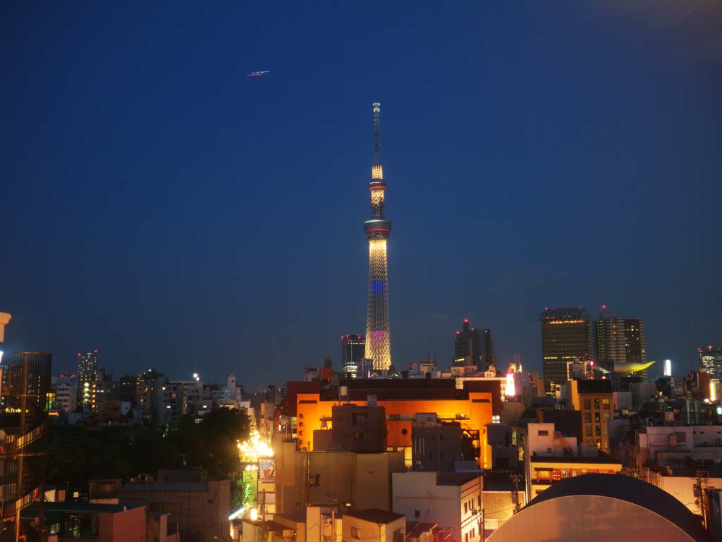 Foto, materiell, befreit, Landschaft, Bild, hat Foto auf Lager,Sky Tree, , , , 