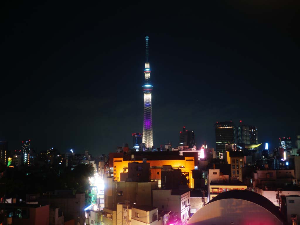 foto,tela,gratis,paisaje,fotografa,idea,Sky Tree, , , , 