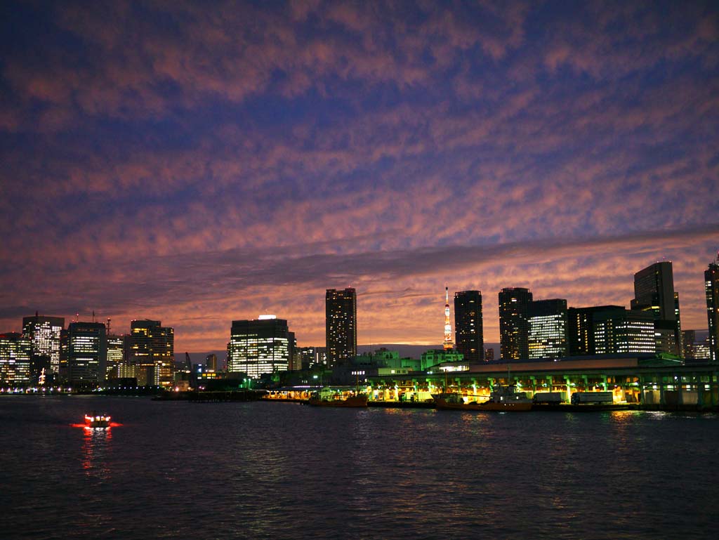 Foto, materiell, befreit, Landschaft, Bild, hat Foto auf Lager,Der Tsukiji Fischmarkt, , , , 