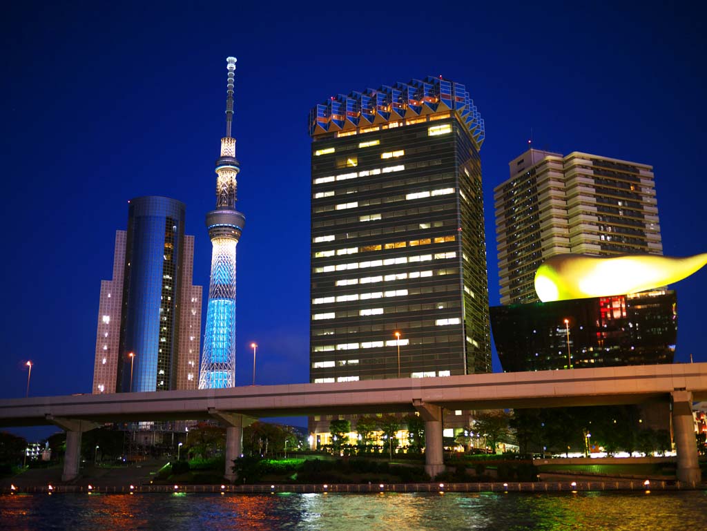 foto,tela,gratis,paisaje,fotografa,idea,Sky Tree, , , , 