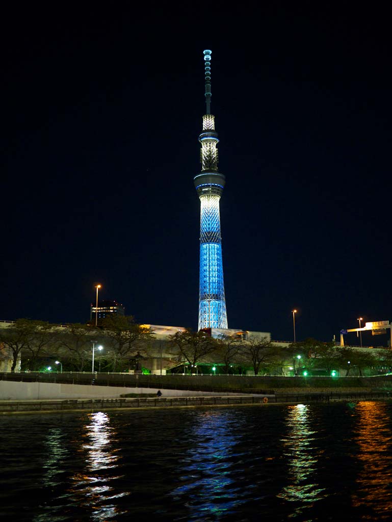 foto,tela,gratis,paisaje,fotografa,idea,Sky Tree, , , , 