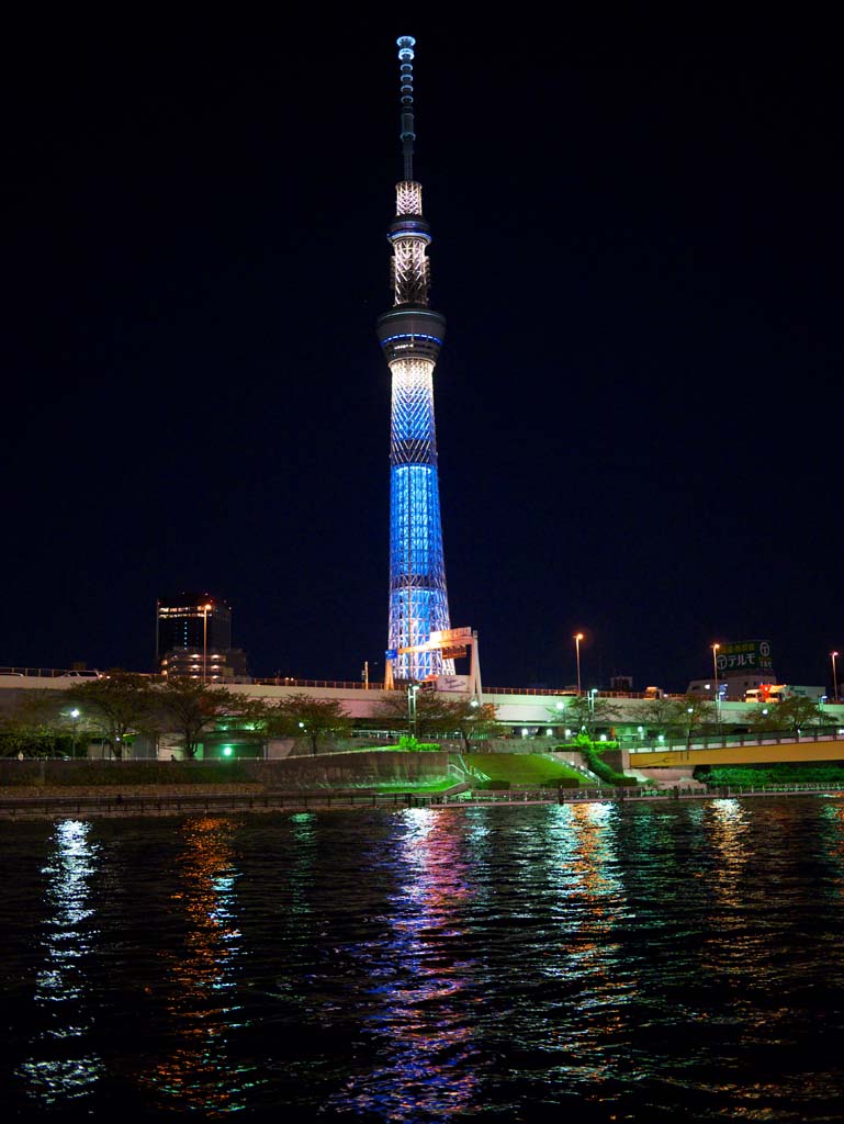 Foto, materiell, befreit, Landschaft, Bild, hat Foto auf Lager,Sky Tree, , , , 