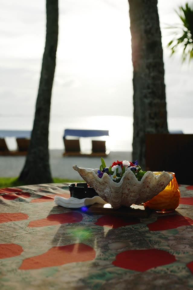 photo,material,free,landscape,picture,stock photo,Creative Commons,A flower plate of a shell, shell, The setting sun, The shore, table