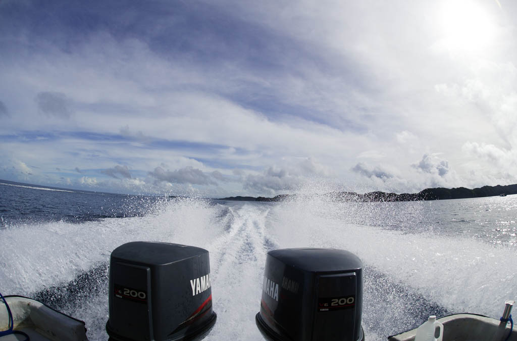 fotografia, materiale, libero il panorama, dipinga, fotografia di scorta,Un pieno trattino di velocit della superficie del mare, scogliera di corallo, pesce, Il mare, La superficie del mare