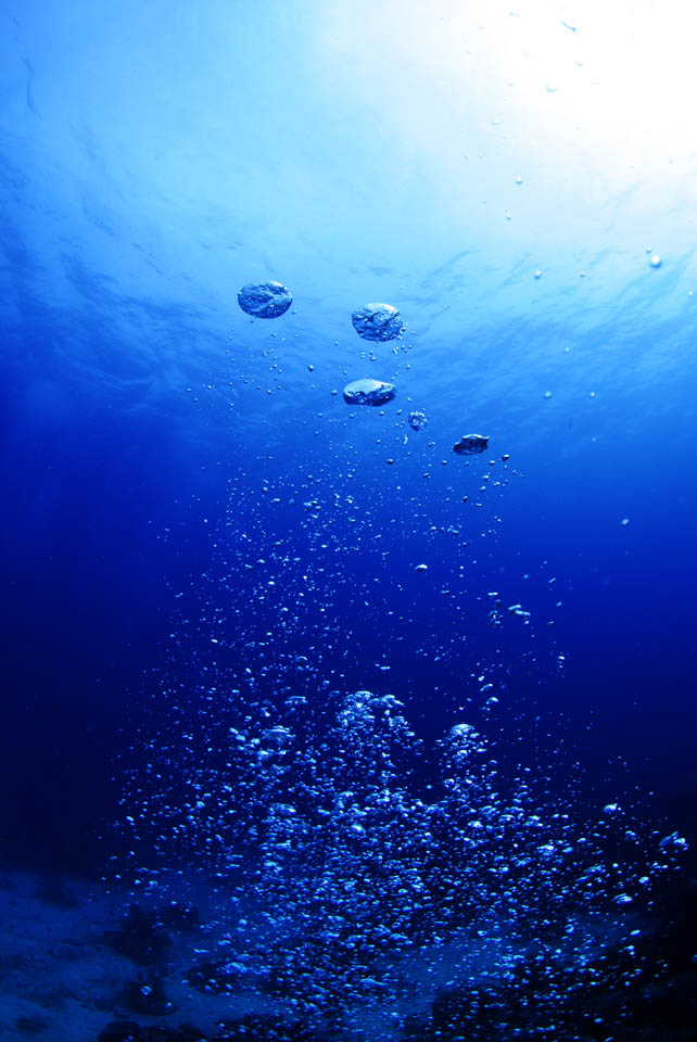 fotografia, materiale, libero il panorama, dipinga, fotografia di scorta,Una bolla di una pianta di indaco naturale, Blu, bolla, Acqua, La superficie del mare