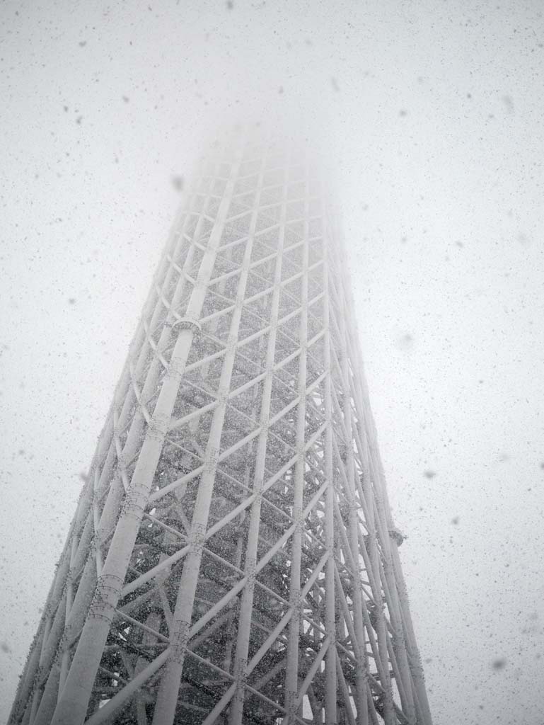 Foto, materiell, befreit, Landschaft, Bild, hat Foto auf Lager,Die Snow Sky Tree, , , , 