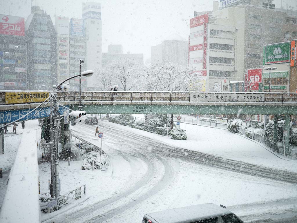 fotografia, materiale, libero il panorama, dipinga, fotografia di scorta,La neve Gotanda, , , , 