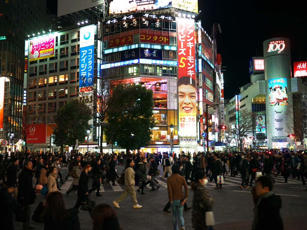 Foto, materiell, befreit, Landschaft, Bild, hat Foto auf Lager,Die Kreuzung von Shibuya, , , , 