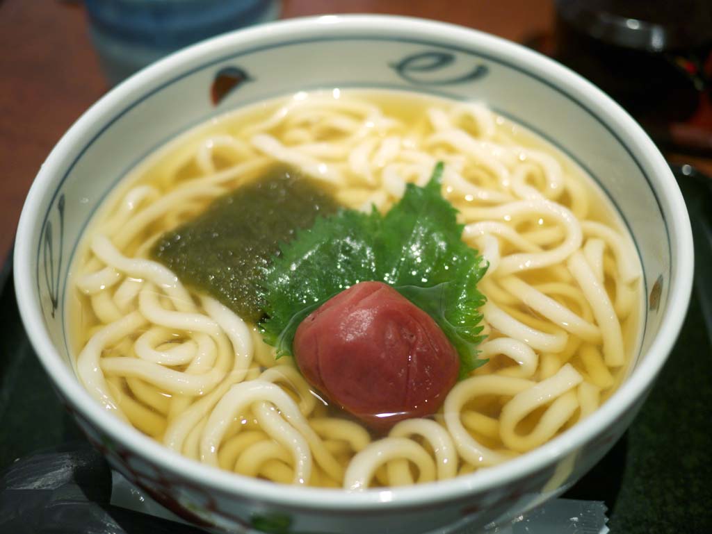 photo,material,free,landscape,picture,stock photo,Creative Commons,Umeboshi Udon, , , , 