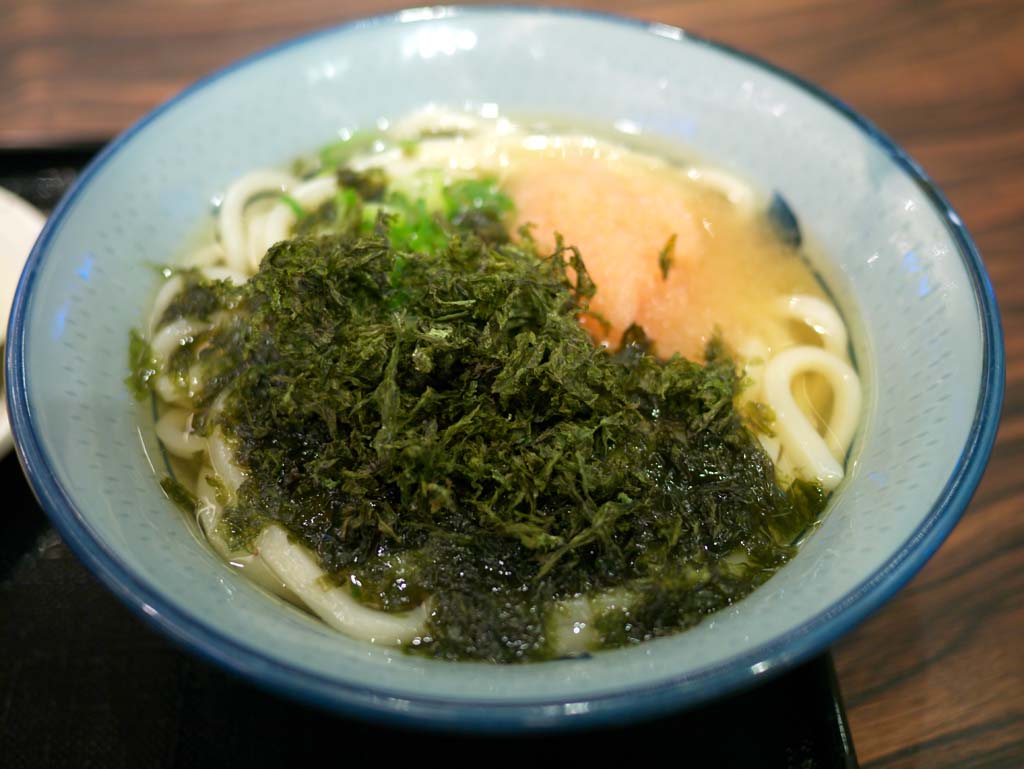 photo,material,free,landscape,picture,stock photo,Creative Commons,Udon Noodles, , , , 