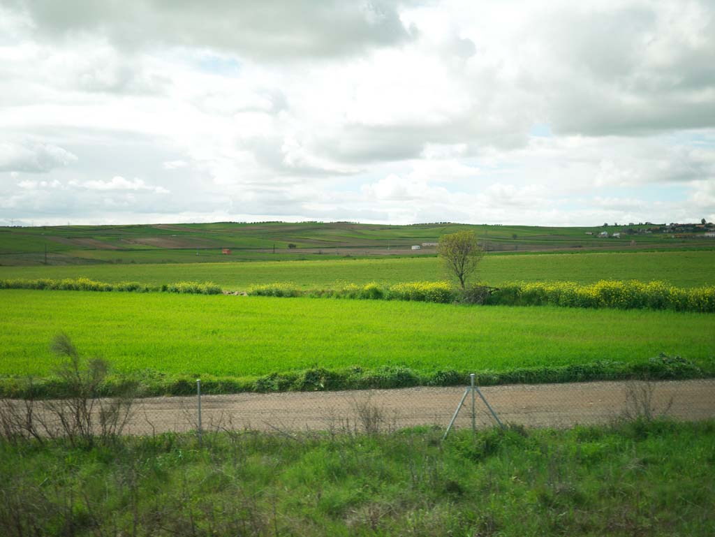 Foto, materieel, vrij, landschap, schilderstuk, bevoorraden foto,Madrid, , , , 