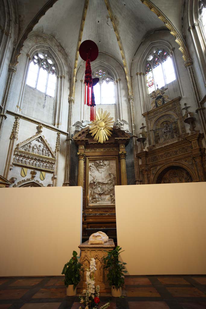 foto,tela,gratis,paisaje,fotografa,idea,Catedral de Santa Mara de Toledo, , , , 