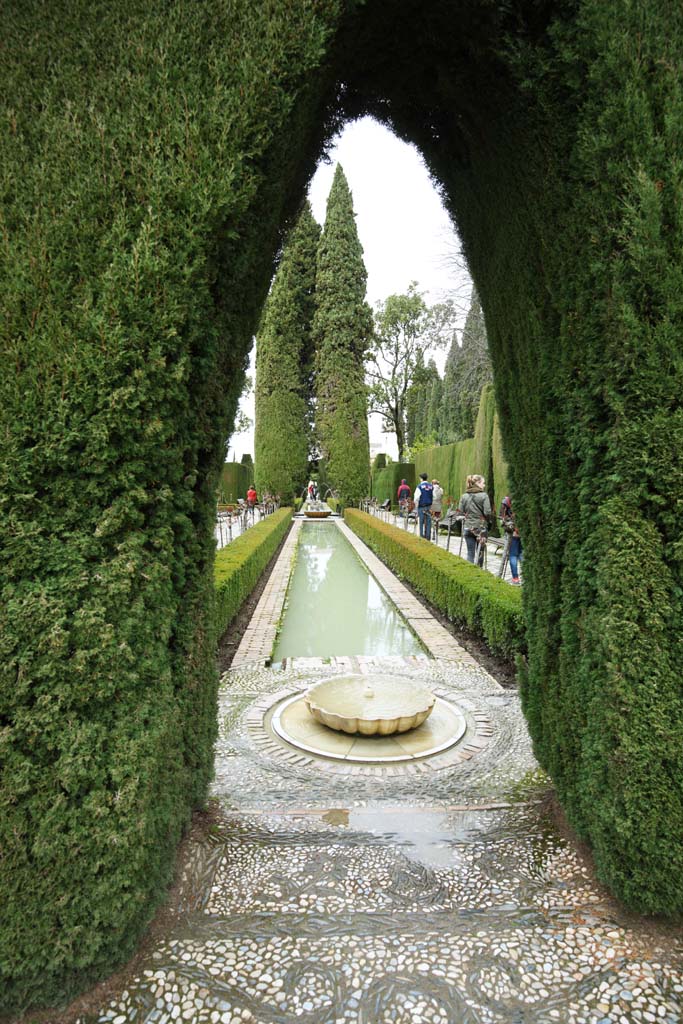 photo,material,free,landscape,picture,stock photo,Creative Commons,Generalife cypresses corridor, , , , 