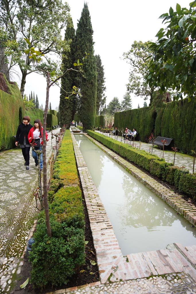 fotografia, materiale, libero il panorama, dipinga, fotografia di scorta,Generalife cipressi corridoio, , , , 