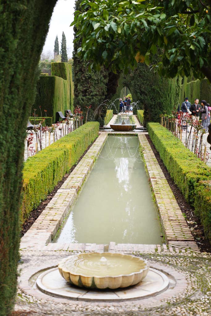 photo,material,free,landscape,picture,stock photo,Creative Commons,Generalife cypresses corridor, , , , 