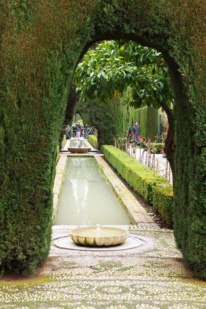 photo,material,free,landscape,picture,stock photo,Creative Commons,Generalife cypresses corridor, , , , 