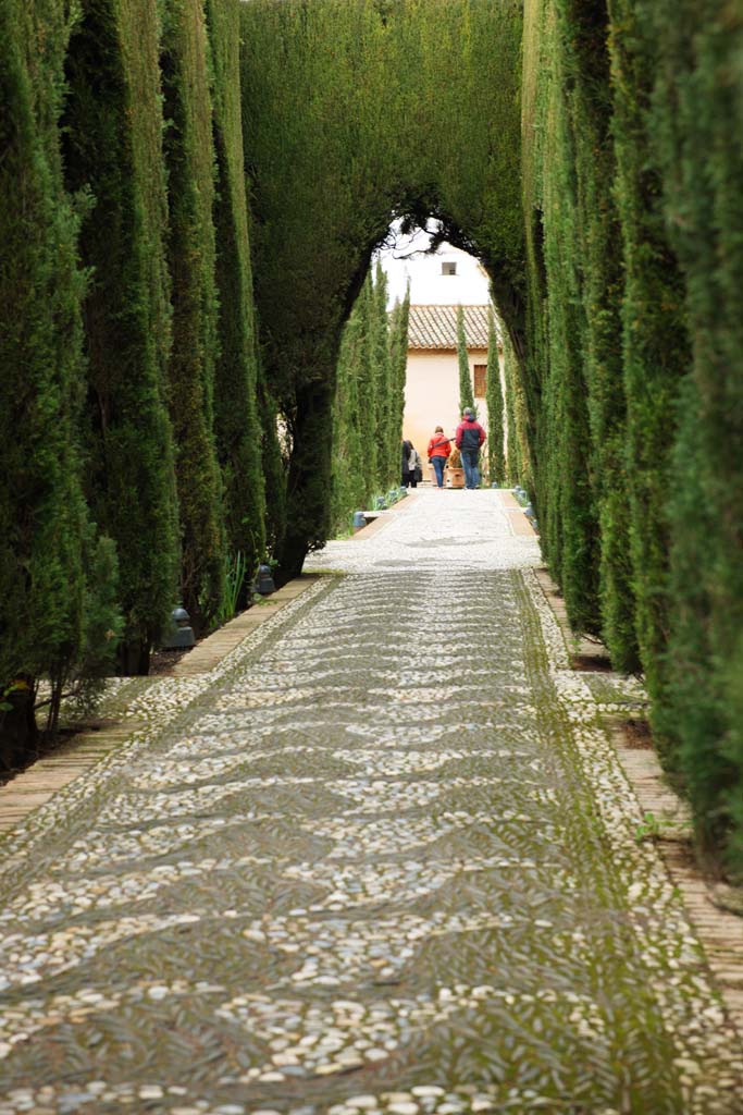 fotografia, materiale, libero il panorama, dipinga, fotografia di scorta,Generalife cipressi corridoio, , , , 