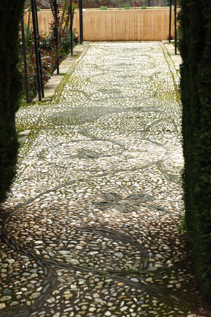 fotografia, materiale, libero il panorama, dipinga, fotografia di scorta,Generalife cipressi corridoio, , , , 