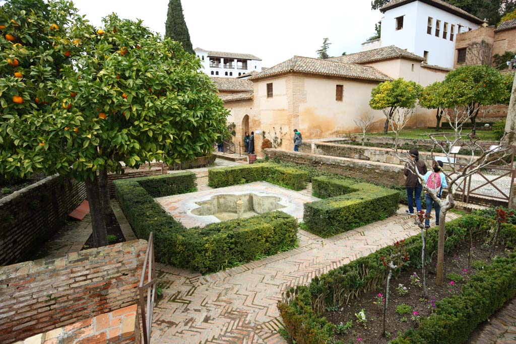 fotografia, materiale, libero il panorama, dipinga, fotografia di scorta,Generalife, , , , 