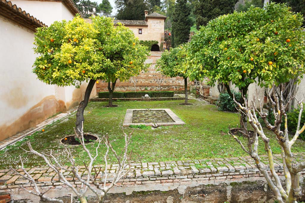 fotografia, materiale, libero il panorama, dipinga, fotografia di scorta,Generalife, , , , 