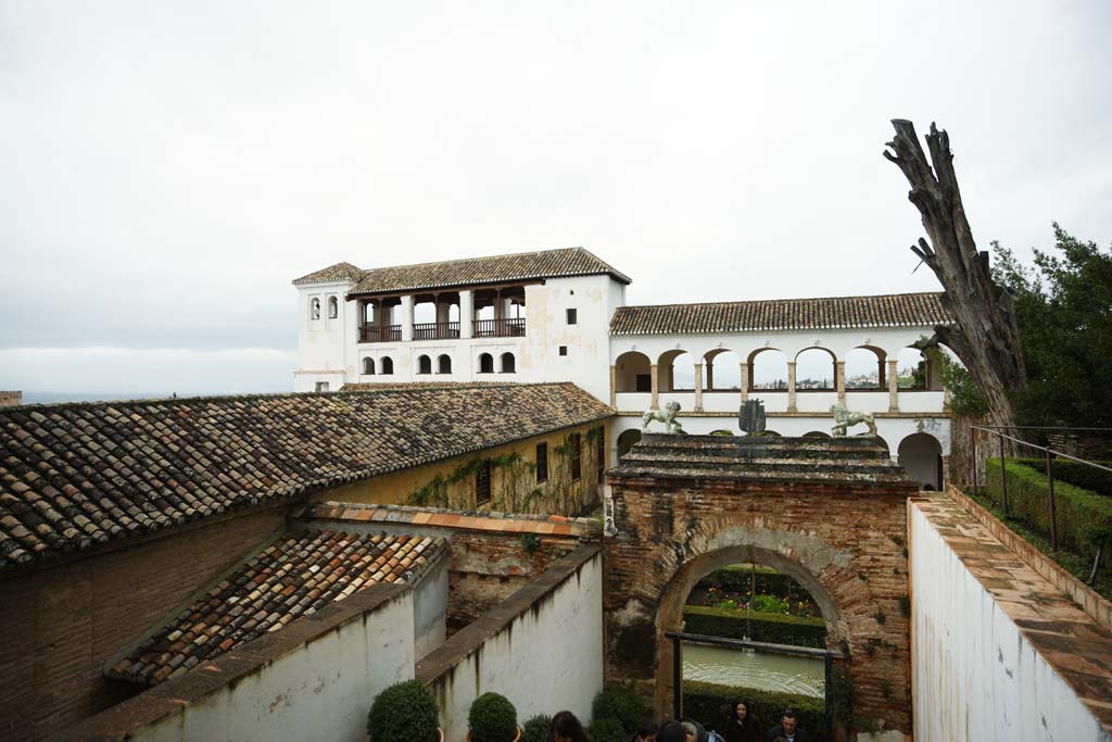 fotografia, materiale, libero il panorama, dipinga, fotografia di scorta,Generalife Sultan del cortile, , , , 