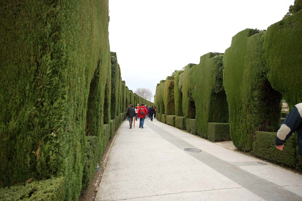 fotografia, materiale, libero il panorama, dipinga, fotografia di scorta,Alhambra Palace, , , , 