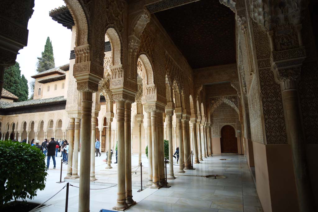 fotografia, materiale, libero il panorama, dipinga, fotografia di scorta,Alhambra Palace Lion patio, , , , 