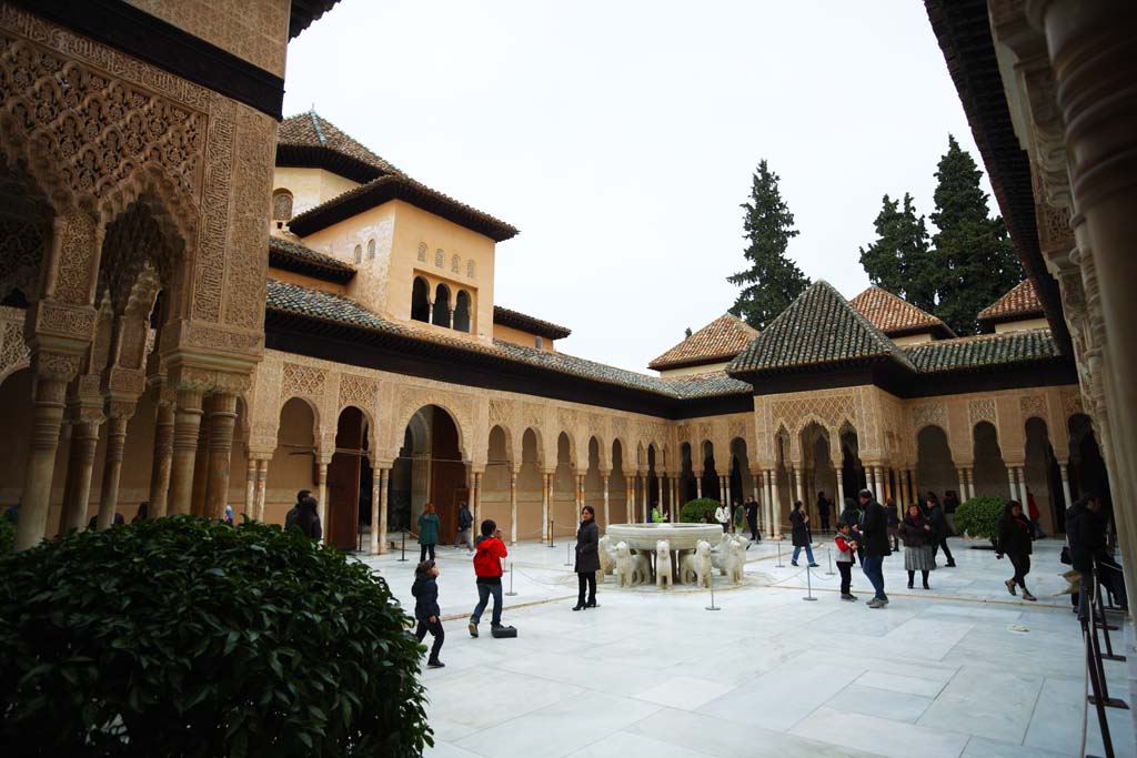 photo,material,free,landscape,picture,stock photo,Creative Commons,Alhambra Palace Lion patio, , , , 