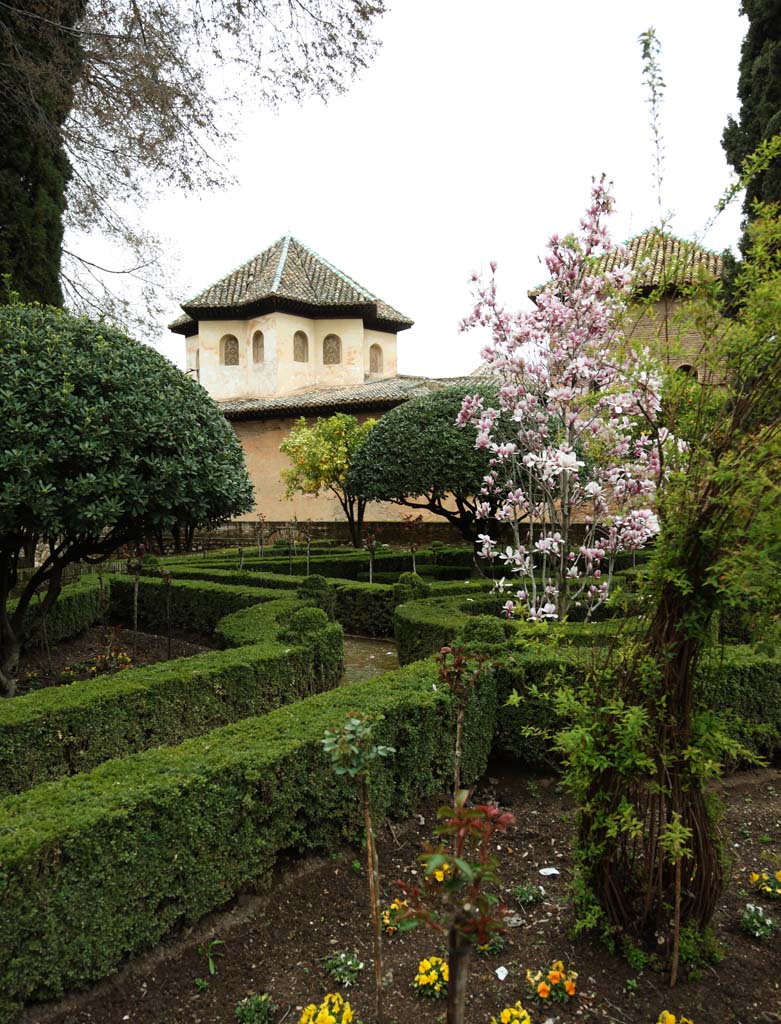 fotografia, materiale, libero il panorama, dipinga, fotografia di scorta,Alhambra Palace, , , , 