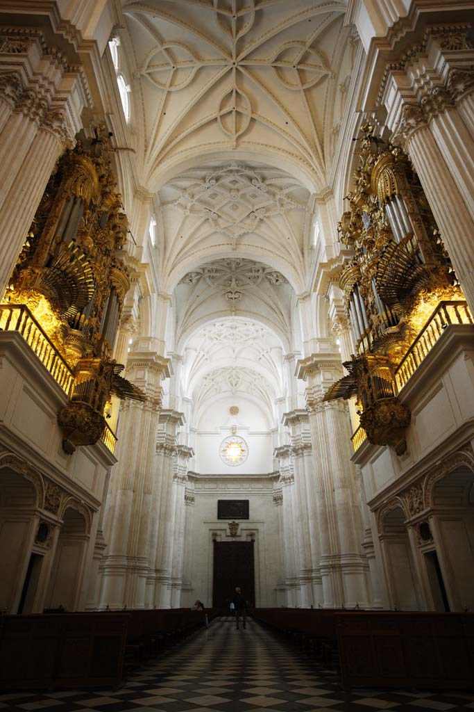 fotografia, materiale, libero il panorama, dipinga, fotografia di scorta,La Cattedrale, , , , 