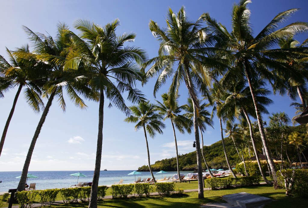 photo,material,free,landscape,picture,stock photo,Creative Commons,A private beach of afternoon, sandy beach, Lasi, coconut tree, resort